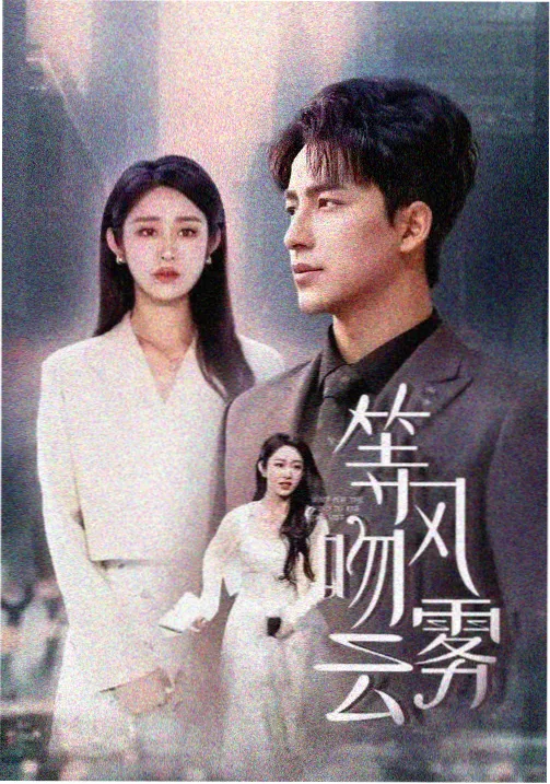 都市情感电视剧《城南有风》海报